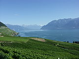 Lavaux y Lago Lemán