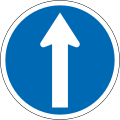 (R3-9) Proceed Straight Ahead (no turns allowed)