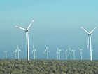 Wind Farm Canela I and II