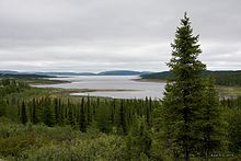 Une étendue dʼeau sʼétend au loin. Elle est entourée dʼune forêt dʼépinettes noires qui forment un relief moutonné.