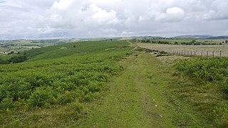 Towards Wernygeufron Hill - geograph.org.uk - 4714341.jpg