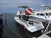 Diving boat