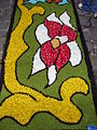 Infiorata per la festa del Corpus Domini (10 giugno 2007)