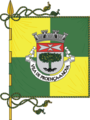 Bandeira de Proença-a-Nova