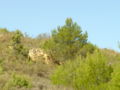 Refugio en el campo de Bargota