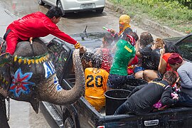 Songkran elefant angriber pickup bil (2013).