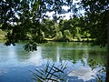 The River Loing at Souppes-sur-Loing