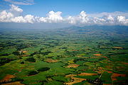 Plantaciones de caña de azúcar en Bacolod, Visayas occidentales.