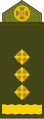 Ukraine (polkovnik/Полковник)