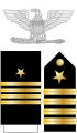 美国海军上校肩章、袖章及配章