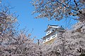 Parque del Castillo Tsuyama