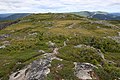 Alpine tundra covers its summit.