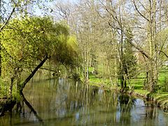 Le Thérain à Bailleul.