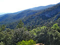 El Carrascar de la Font Roja, Alcoi