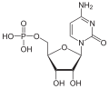 Cytidinmonophosphat (CMP)