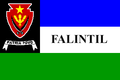 erste Version der Flagge der FALINTIL