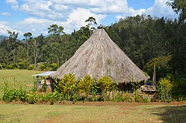 Happy people in PNG (5) (6357407649).jpg