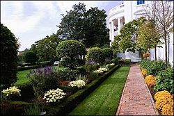 Жаклін Кеннеді 20 січня 1961 — 22 листопада 1963 Реставрація Білого дому та мистецтво Розовий сад Кеннеді біля Білого дому, започаткований Жаклін Кеннеді