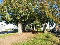 Calvaire, allée du cimetière.