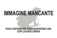 Immagine di Hoplophryninae mancante