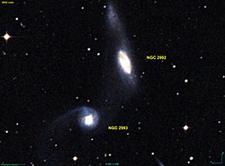 NGC 2993