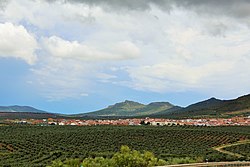 Skyline of Oliva de Mérida