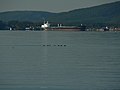 SS Prince William Sound