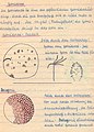 Seite aus einem Biologie-Heft von 1944