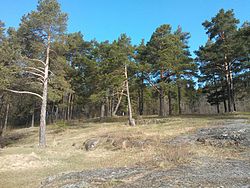 "Devil's Chair", a natural monument and a protected area of Russia in Prionezhsky District