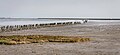 Uitzicht op de Waddenzee achter de zeedijk bij Paesens-Moddergat richting Schiermonnikoog