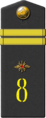 8th Signal Regiment of 8th Air Army