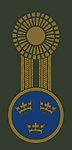 Armén (fältuniform)