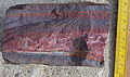 Image 66A banded iron formation from the 3.15 Ga Moodies Group, Barberton Greenstone Belt, South Africa. Red layers represent the times when oxygen was available; gray layers were formed in anoxic circumstances. (from History of Earth)