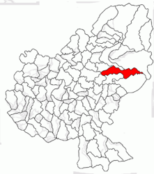 Location in Mureș County