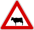Cattle (formerly used )
