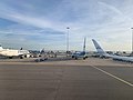 Thumbnail for File:Morning at Amsterdam Airport Schiphol 02.jpg