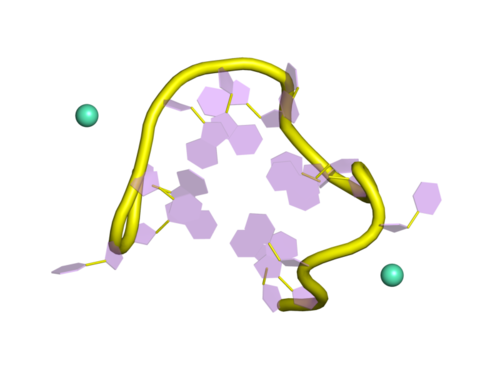 PDB 1bub EBI