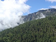 Vista de una ladera de montaña densamente arbolada y cumbres escarpadas más allá, separado de ellos por una masa de nubes bajas.
