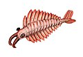 الروبيان الشاذ (الاسم العلمي: Anomalocaris).