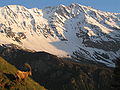 Vue de la face Nord du sommet de Bellecôte.