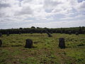Image 5Boscawen-Un stone circle looking north (from Culture of Cornwall)
