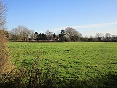 Grass field at Gonalston - geograph.org.uk - 5611853.jpg