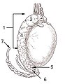 Smanjeni pregled verzije na dan 16:26, 4 novembar 2006