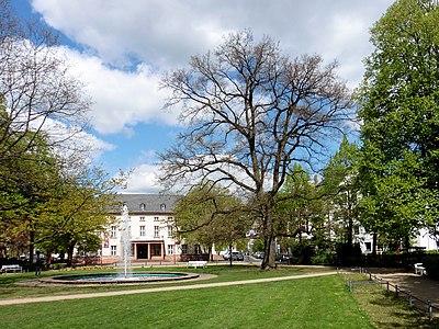 Friedrichsplatz