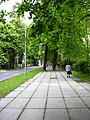 English: Left-bank Riga is distinguished by its green streets and large parks Deutsch: Das linke Ufer der Düna in Riga ist gekennzeichnet von begrünten Straßen und großen Parks