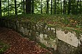 Dacian wall at Sarmizegetusa Regia