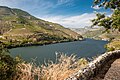 Zgornji tok doline Douro kjer raste grozdje portskega vina