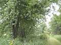 Grimes Farm Nature Center, Marshalltown, Iowa