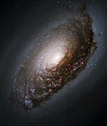 Image prise par le télescope spatial Hubble en février 2004.