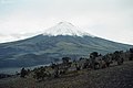 Cotopaxi